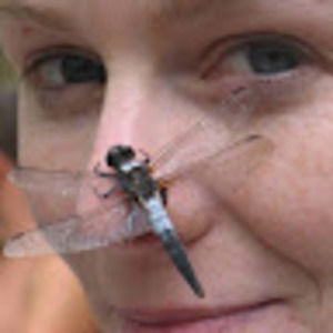 Meet your Posher, Molly